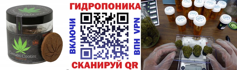 Canna-Cookies марихуана  Можга 