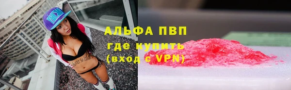 прущие грибы Арсеньев