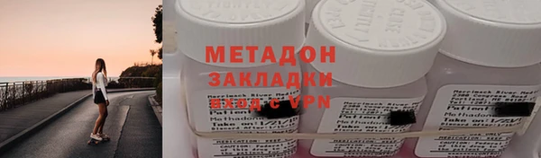 прущие грибы Арсеньев
