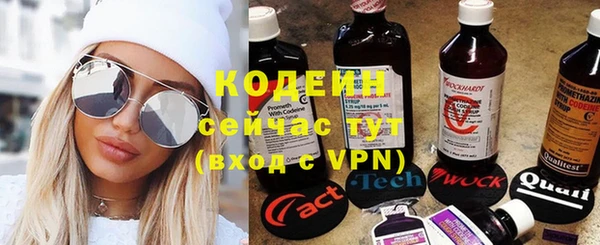 прущие грибы Арсеньев