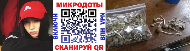 Псилоцибиновые грибы Cubensis  Можга 